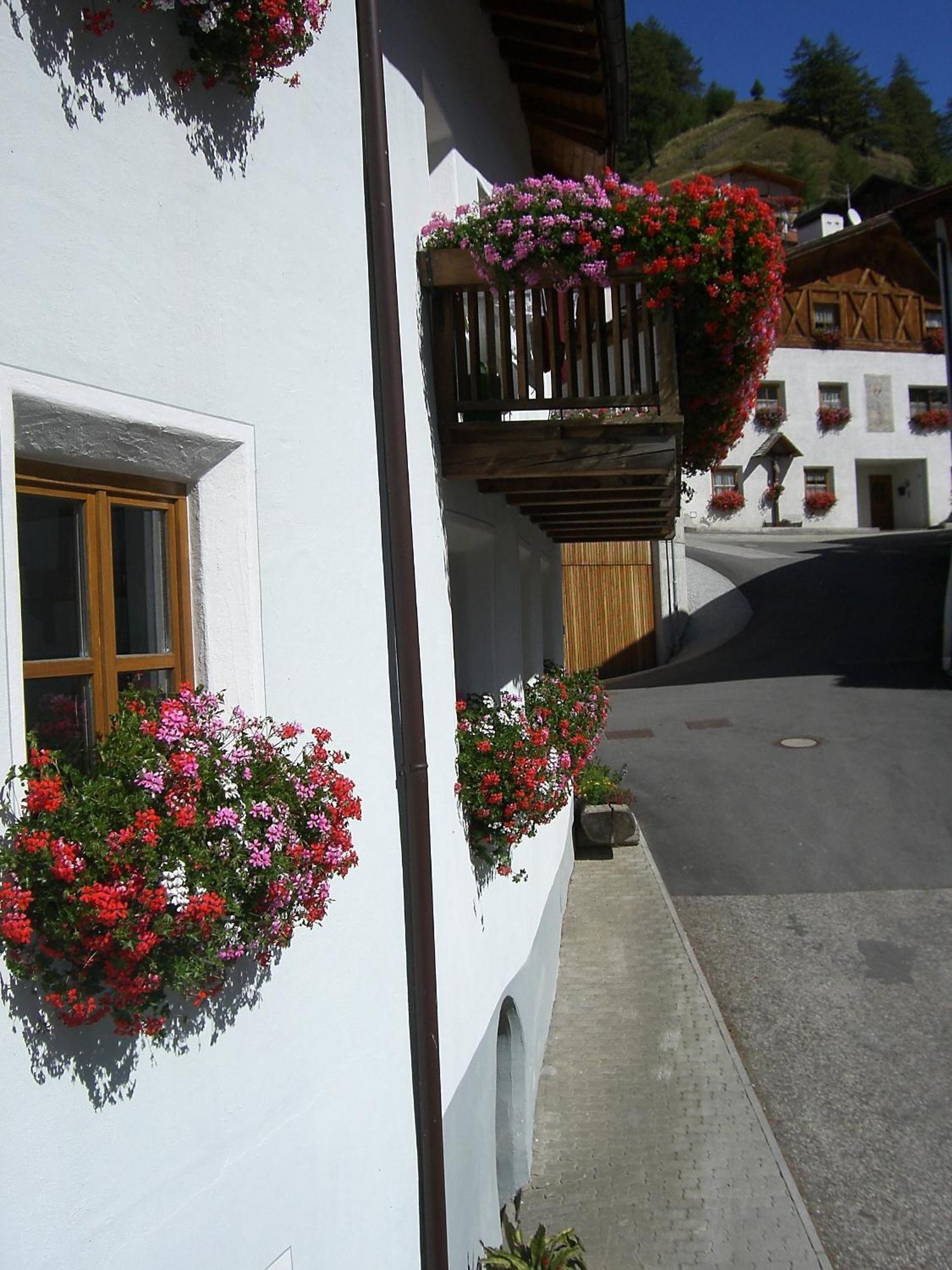 Hotel Gasthof Gemse à Planol Extérieur photo